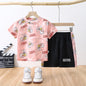 مجموعة اروين ARWEN&AJH GROUP Summer Children's Suit 2024 New Quick-drying Clothes Sportswear Boys Baby Camouflage T-shirt Two-piece Children's Clothing Wholesale