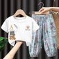 مجموعة اروين arwen&ajh group Girls' Suit 2024 Summer New Short-sleeved Children's Western Style Mosquito-proof Trousers Boys' Fashionable Two-piece Suit