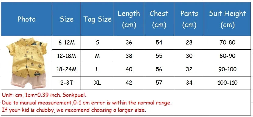 Baby Boys Suit Summer Casual Clothes Set Top Shorts 2PCS Baby Clothing Set For Boys Infant Suits Kids Clothes