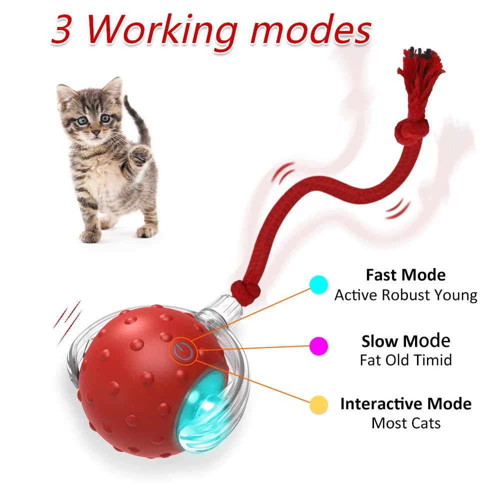 Interactive Cat Toy Ball Super Drive Cat Rolling Balls with Bird Chirping Motion Activated Sensor Pet Kitten Teaser Game Toys