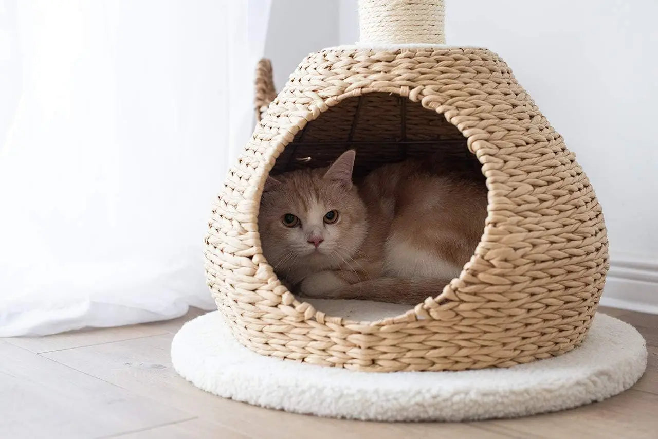 Rope Natural Bowl Shaped with Perch Cat Tree (Lookout Cat Tower)