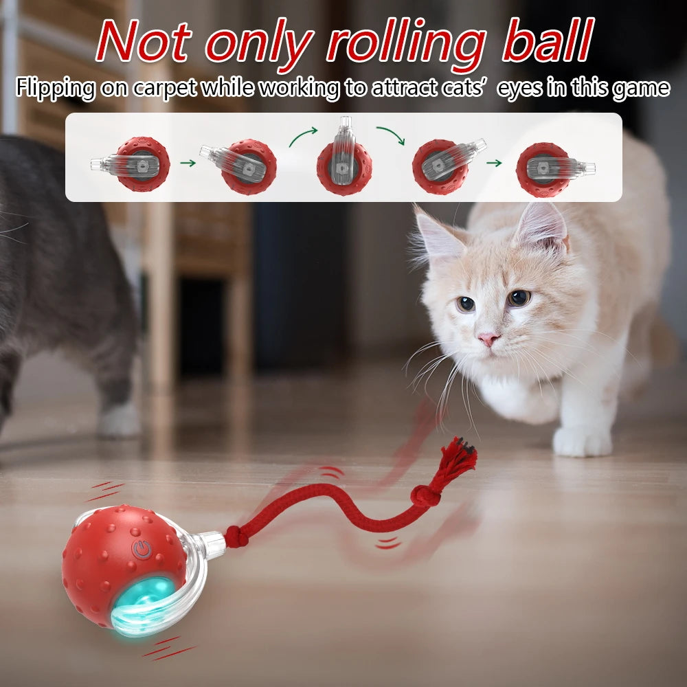 Interactive Cat Toy Ball Super Drive Cat Rolling Balls with Bird Chirping Motion Activated Sensor Pet Kitten Teaser Game Toys