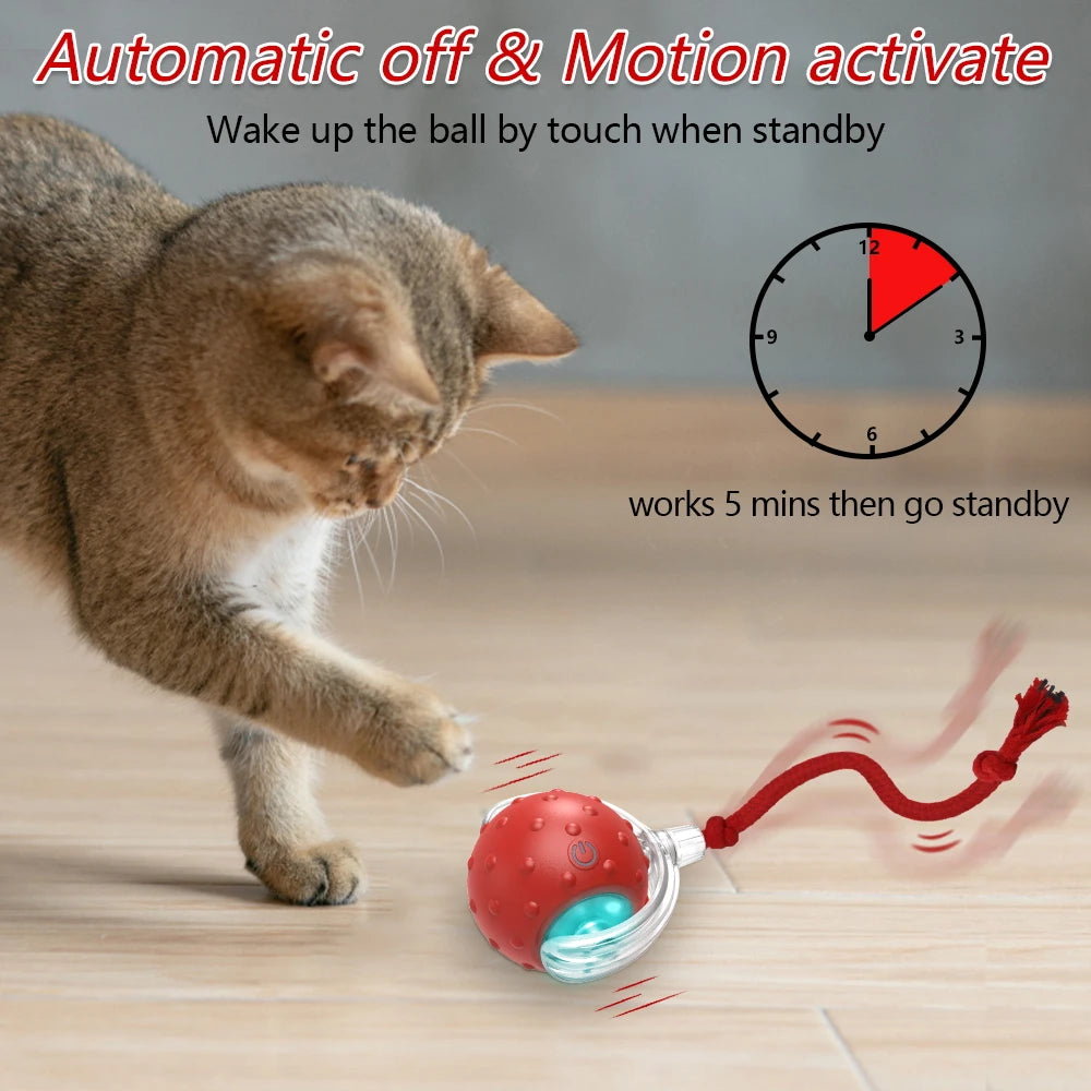 Interactive Cat Toy Ball Super Drive Cat Rolling Balls with Bird Chirping Motion Activated Sensor Pet Kitten Teaser Game Toys