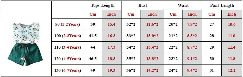 Girls Clothing Ruffle Sleeveless T-shirt+Skirt 2PCS Sets Baby Girls Clothes Chiffon Flower Print Toddler Outfits Children A402