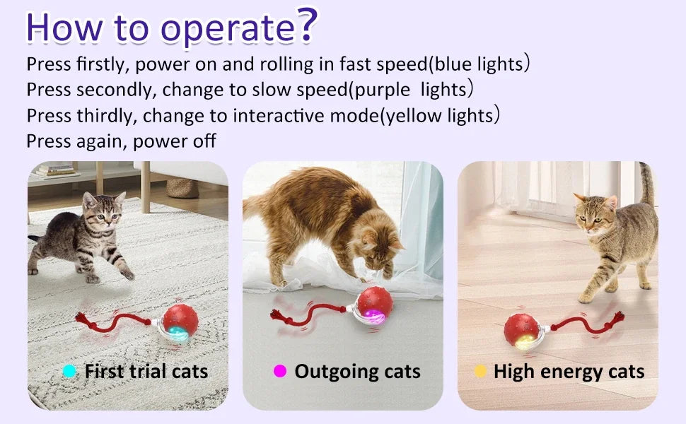 Interactive Cat Toy Ball Super Drive Cat Rolling Balls with Bird Chirping Motion Activated Sensor Pet Kitten Teaser Game Toys