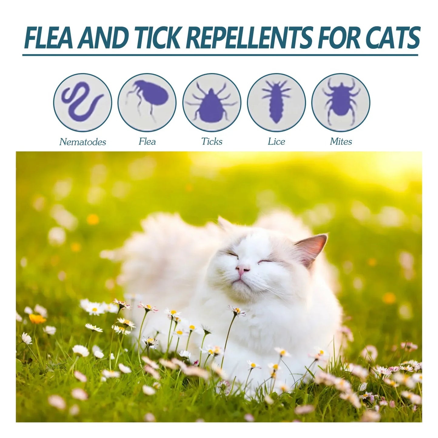 Pet Anti-Flea Tick Agent Dog in Vitro Deworming Cat Clean Skin Lice Tick Drops